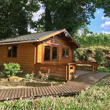 Chambres D'Hotes Les Tilleuls Poullaouen Esterno foto